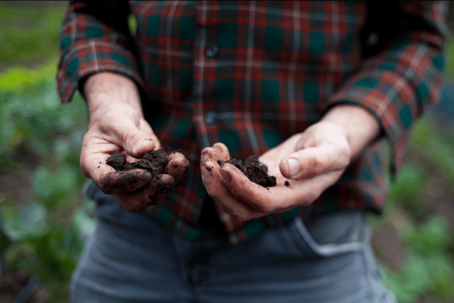 The Dirt on Food and it’s Power to&nbsp;Heal