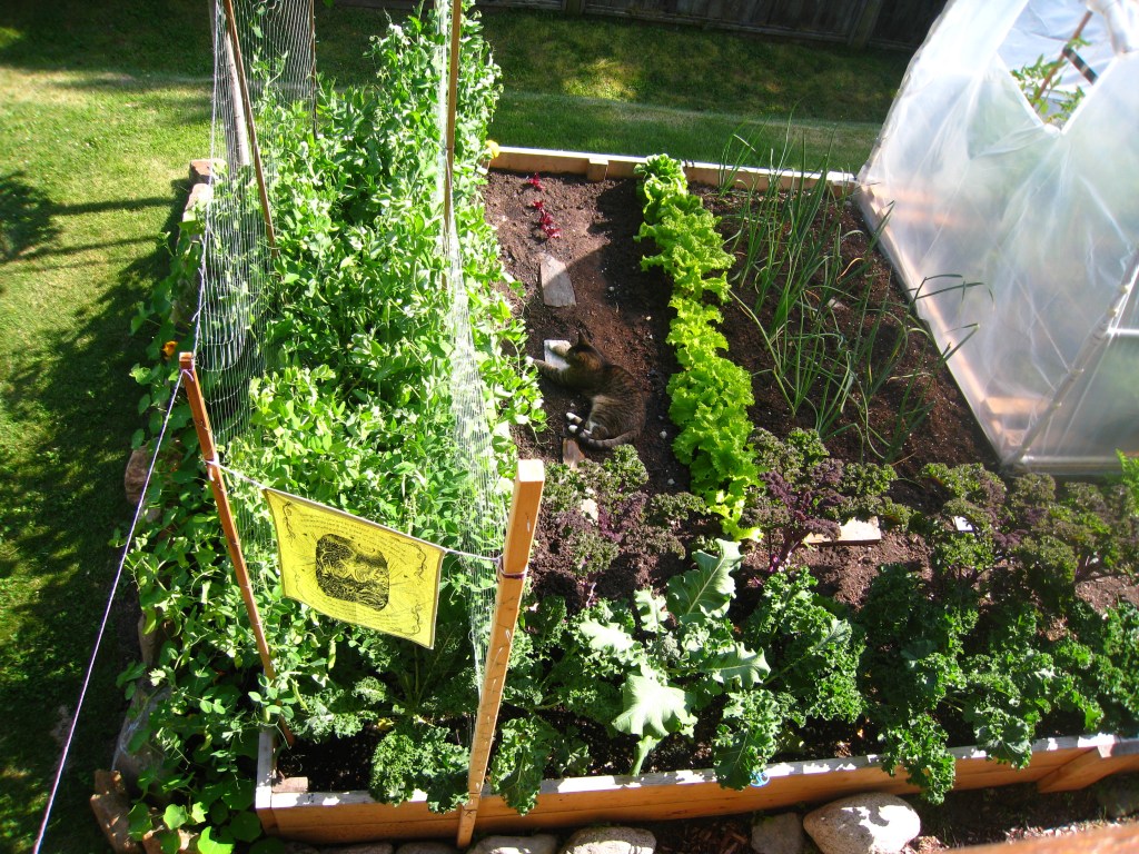 A Pemberton Food&nbsp;Story