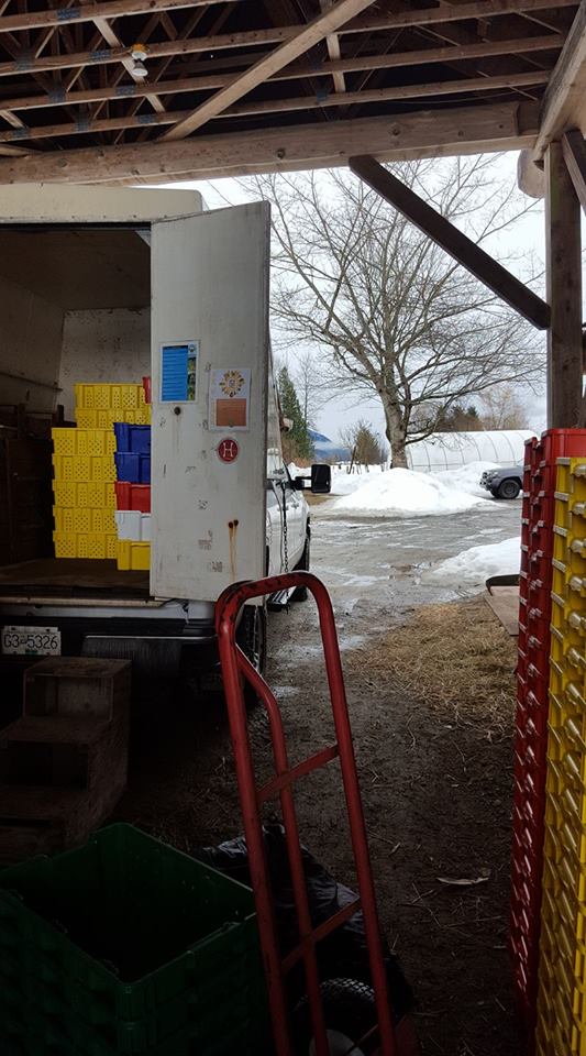 17098688_10154786903366311_6466008105305997335_n