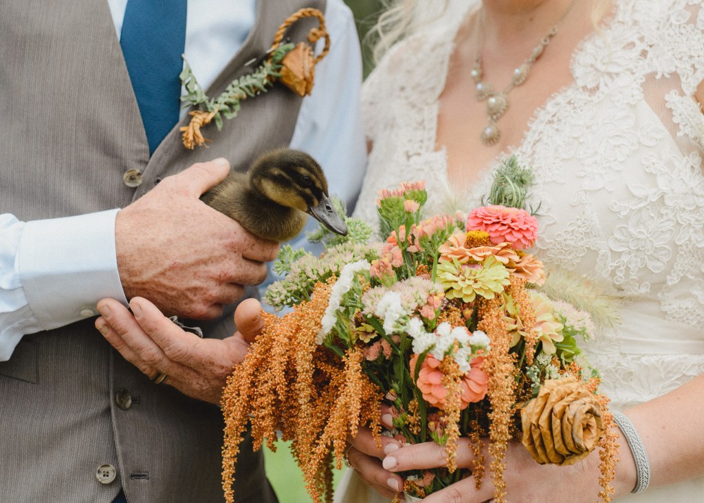 Patty B, Pemberton Wedding&nbsp;Duck