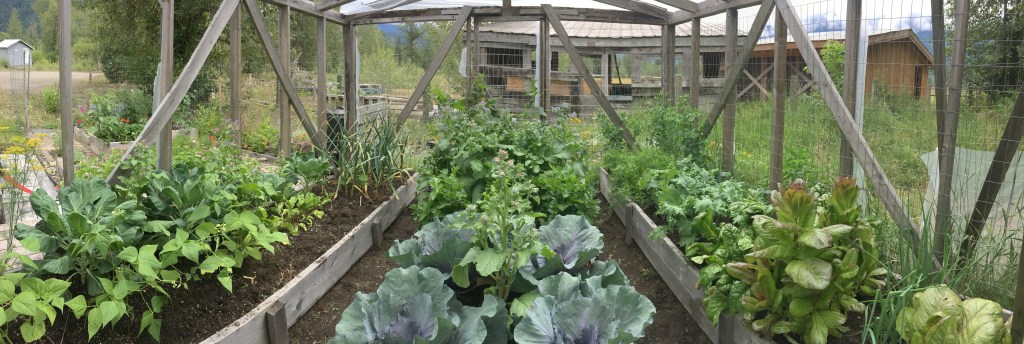 The Power of&nbsp;Rotation