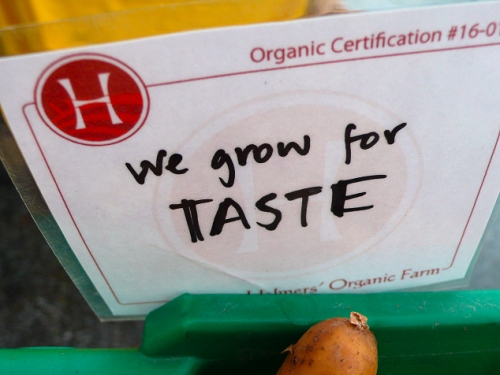 resampled_big_helmers 6