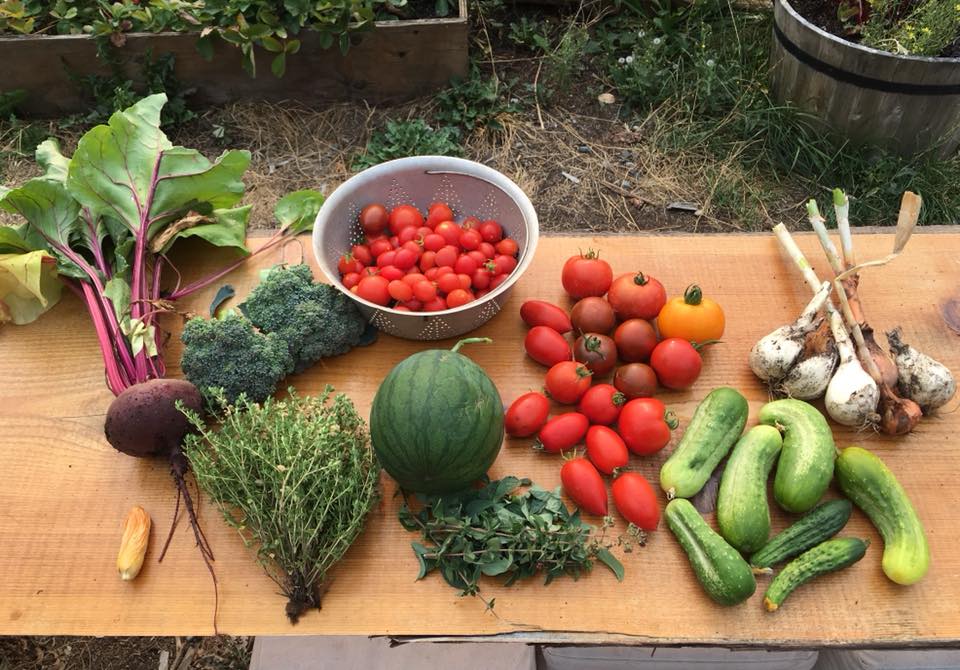 39979433_10156761712549306_4218753195821760512_n