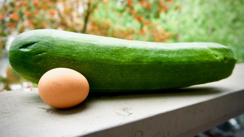 Zucchini – two&nbsp;ways