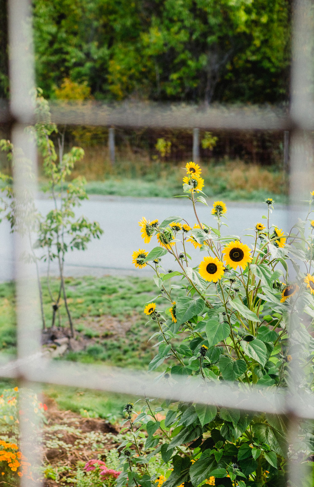 Frost’s lesson plan: on&nbsp;decisiveness