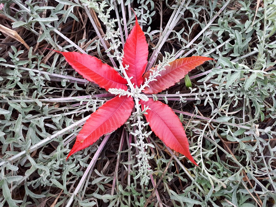 Taking My Own&nbsp;Medicine