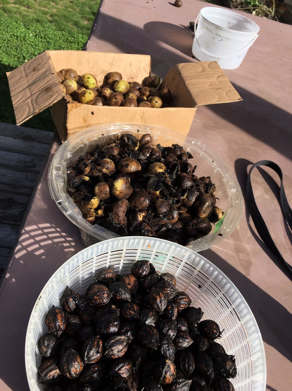 AW NUTS: Nancy Lee finds out just why Nuts are so&nbsp;Expensive