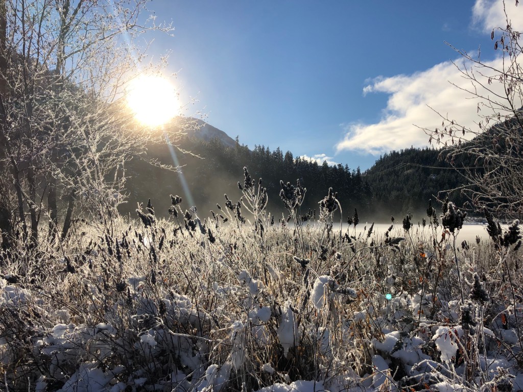 Food and Feelings: Intentions for&nbsp;2019