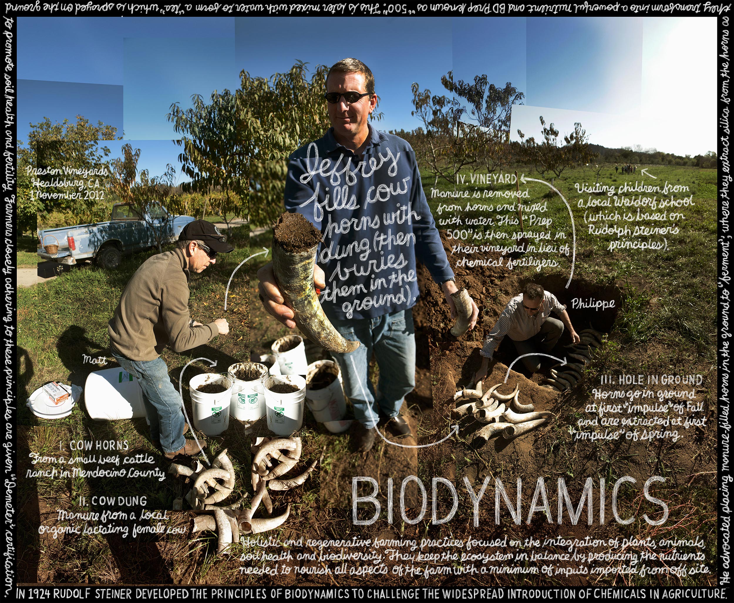LEX158_Biodynamic_FINAL_FIXED-5715