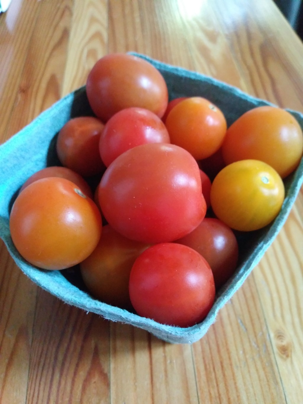 Ode to the Cherry&nbsp;Tomato