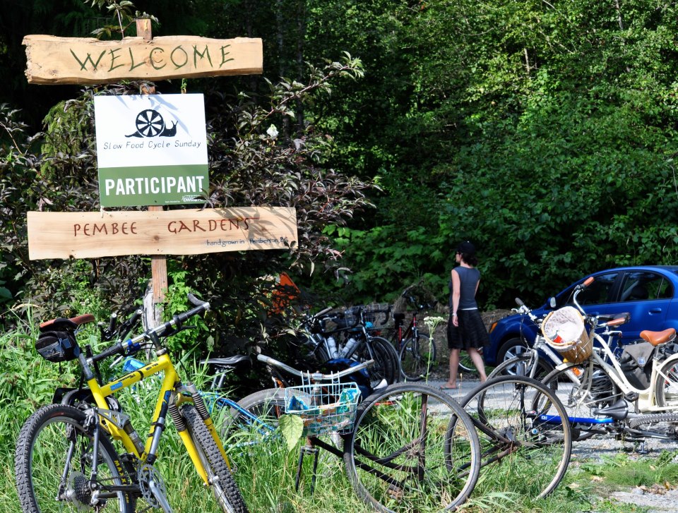 484455_459547660752749_856749037_n