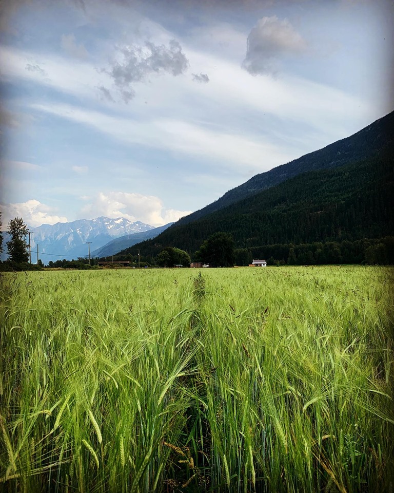 67498225_1941028872663332_1332770906484768768_n