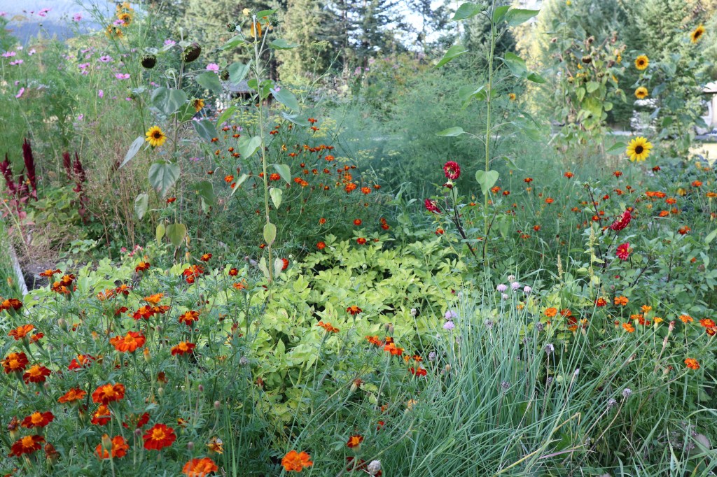 A question of&nbsp;growth