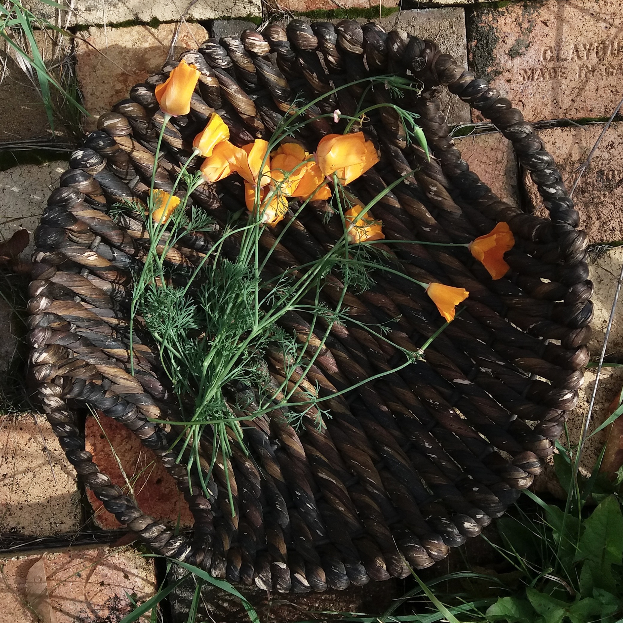 IMG_20190913_163957_909