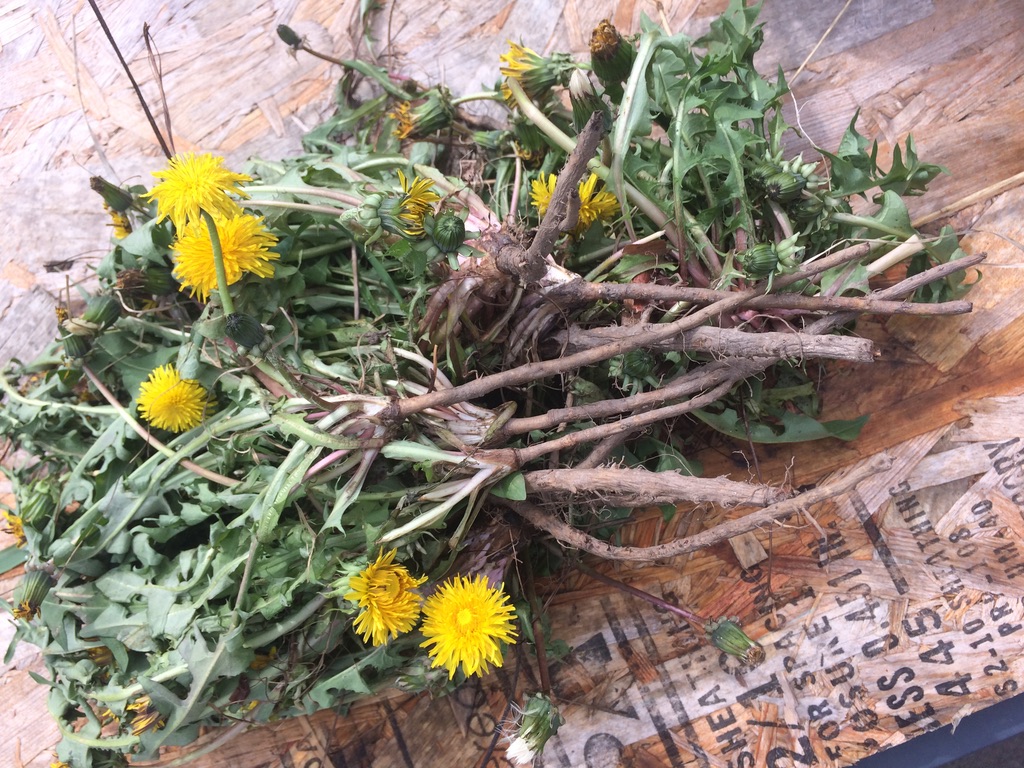 865964C7-5F3D-4BB3-A0DC-14A000007B20_1_105_c