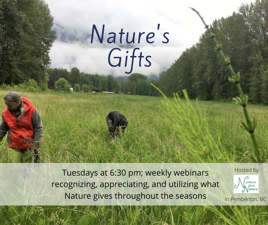 feb88c_5df941c7e9b04a198f8519d911a654a5_mv2