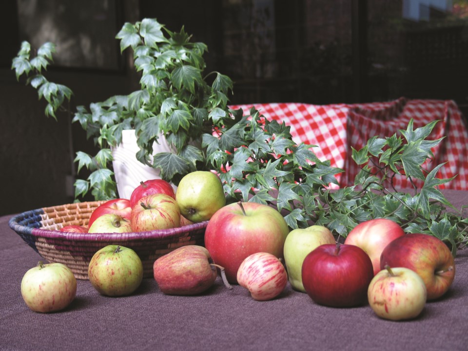 The apples of our&nbsp;eyes