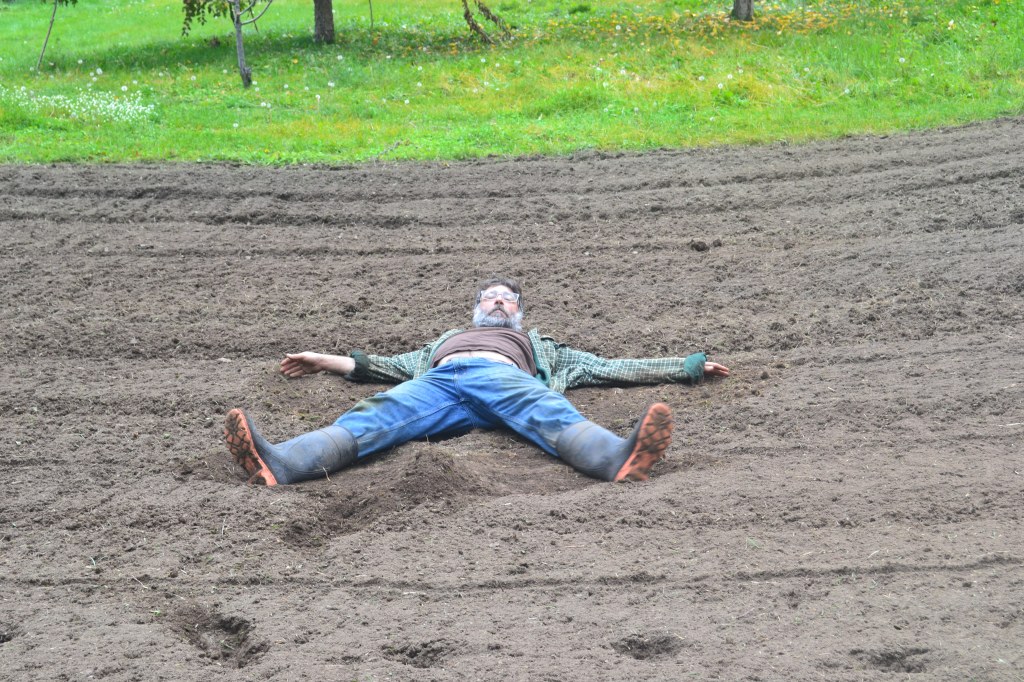 Silly Gardening Mistakes